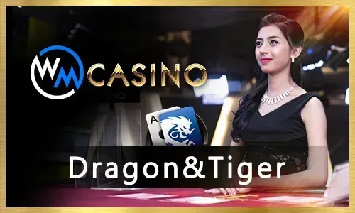Maximizing Your Bonuses and Rewards at phmacao